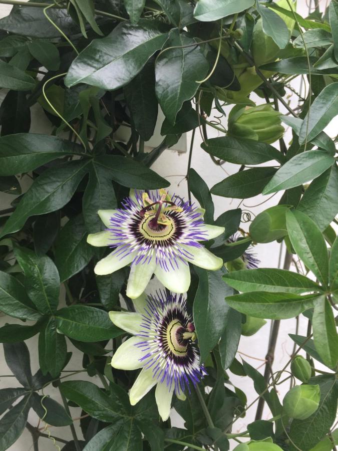 Revninge Guesthouse 외부 사진