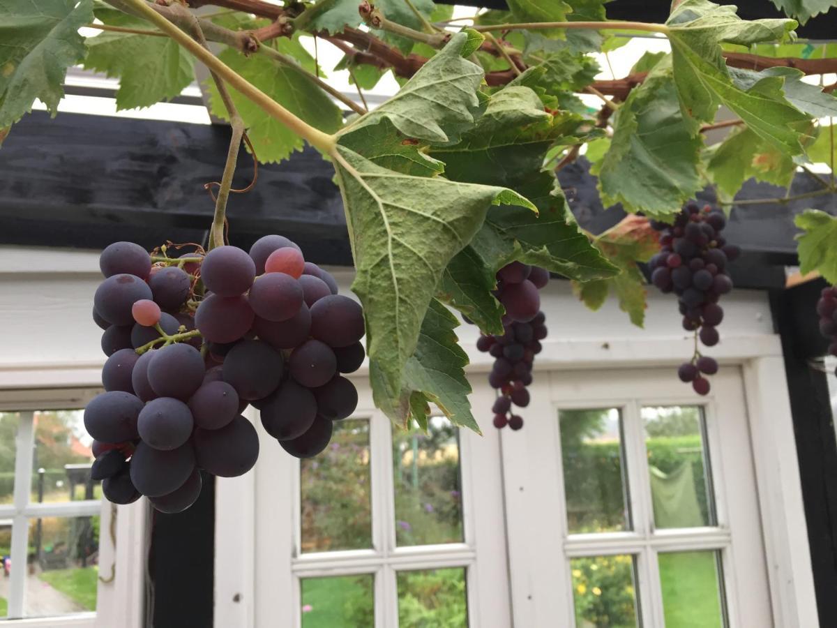 Revninge Guesthouse 외부 사진