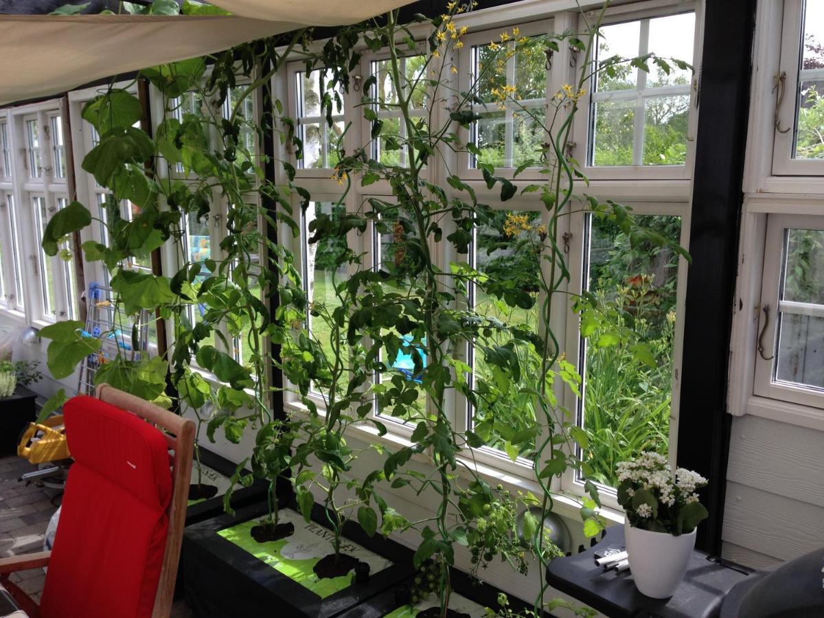 Revninge Guesthouse 외부 사진