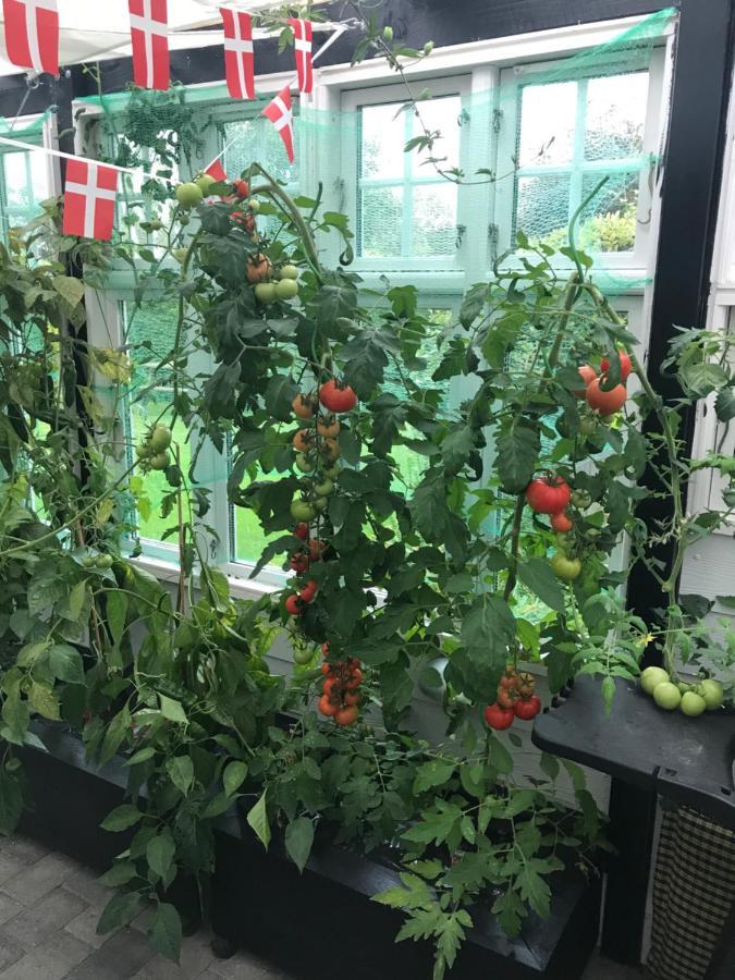 Revninge Guesthouse 외부 사진